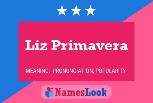 Liz Primavera 名字海报