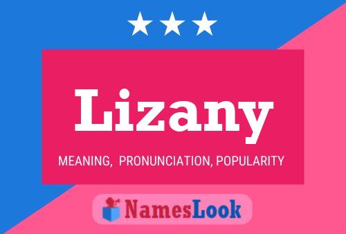 Lizany 名字海报