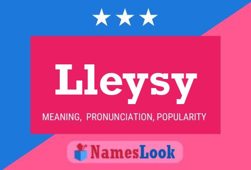 Lleysy 名字海报