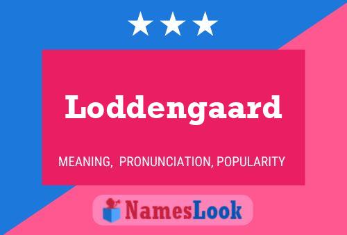 Loddengaard 名字海报