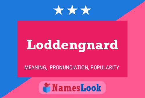 Loddengnard 名字海报