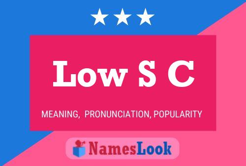 Low S C 名字海报