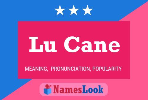 Lu Cane 名字海报