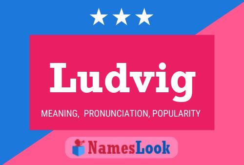 Ludvig 名字海报