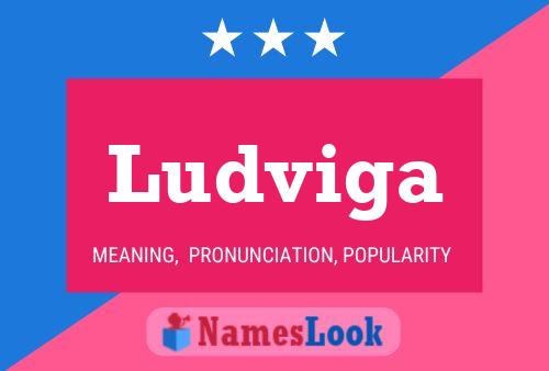 Ludviga 名字海报