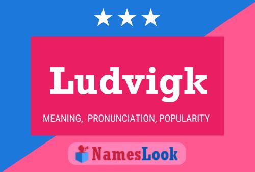 Ludvigk 名字海报