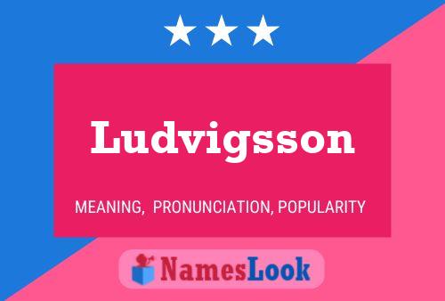 Ludvigsson 名字海报