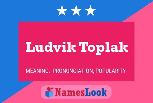 Ludvik Toplak 名字海报