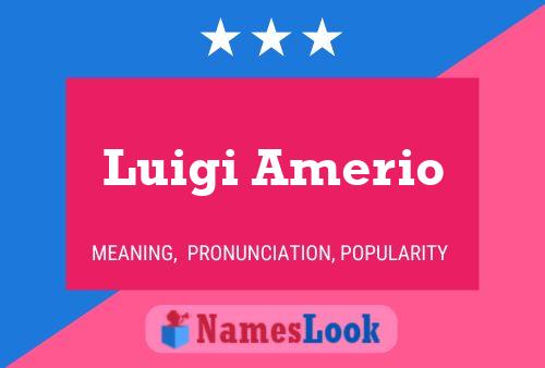 Luigi Amerio 名字海报