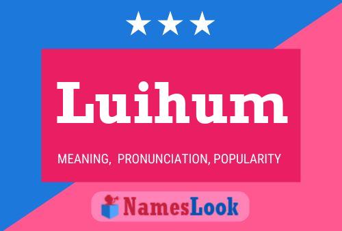 Luihum 名字海报