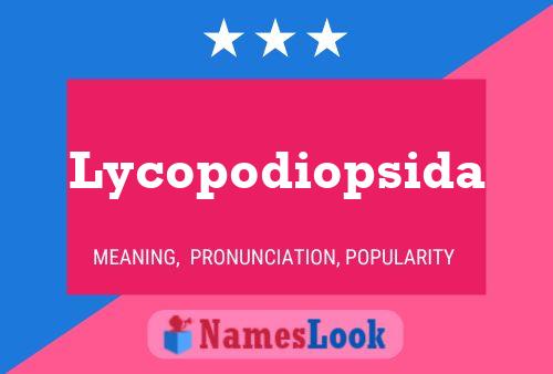 Lycopodiopsida 名字海报