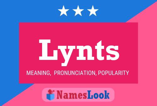 Lynts 名字海报