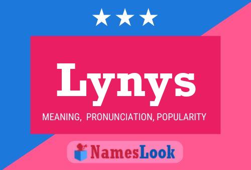 Lynys 名字海报