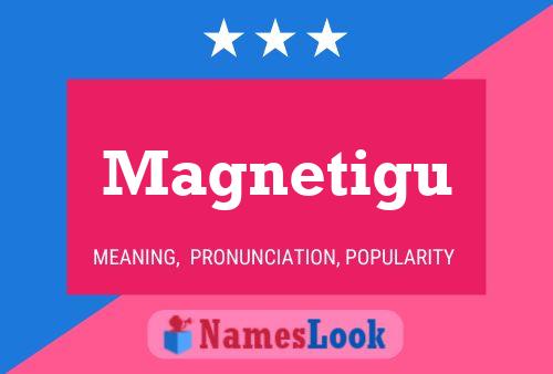 Magnetigu 名字海报