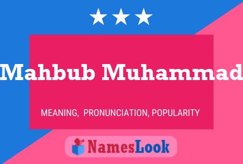 Mahbub Muhammad 名字海报