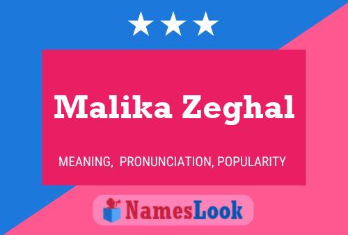 Malika Zeghal 名字海报