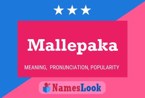 Mallepaka 名字海报