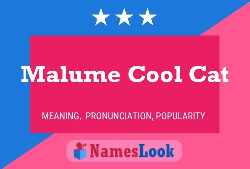 Malume Cool Cat 名字海报