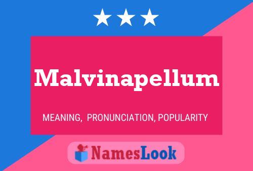 Malvinapellum 名字海报