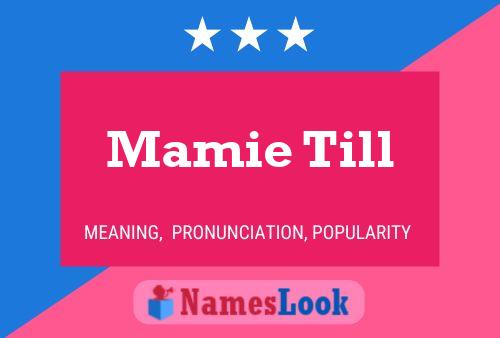 Mamie Till 名字海报