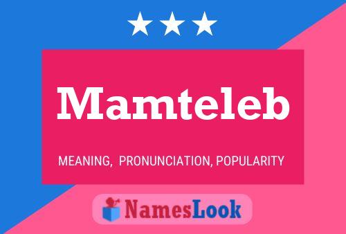 Mamteleb 名字海报