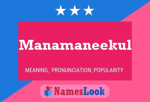 Manamaneekul 名字海报