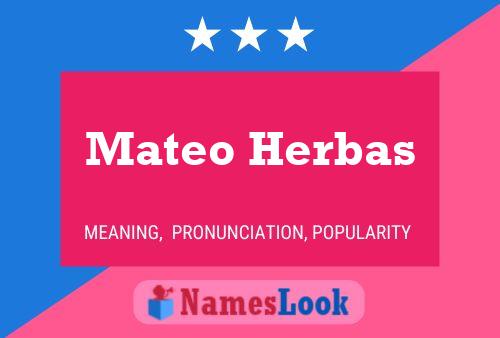 Mateo Herbas 名字海报