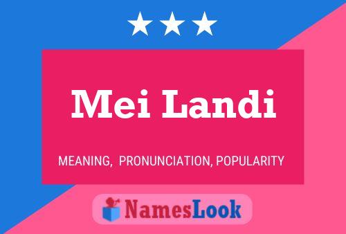 Mei Landi 名字海报