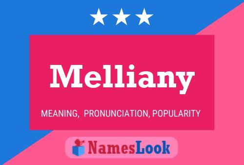 Melliany 名字海报