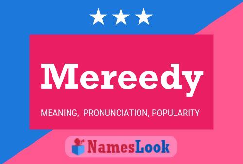 Mereedy 名字海报