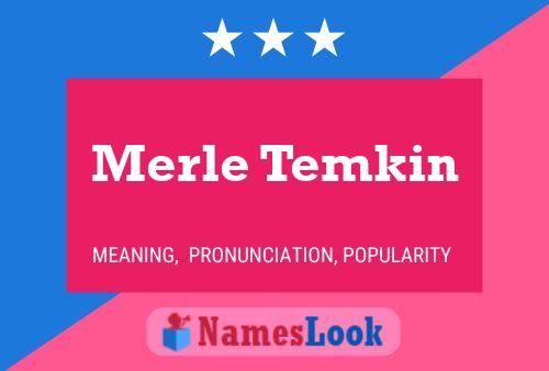 Merle Temkin 名字海报