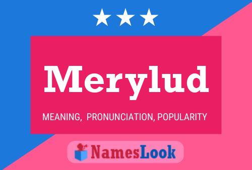 Merylud 名字海报