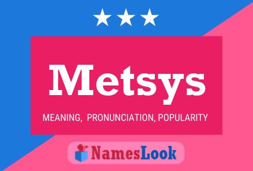 Metsys 名字海报