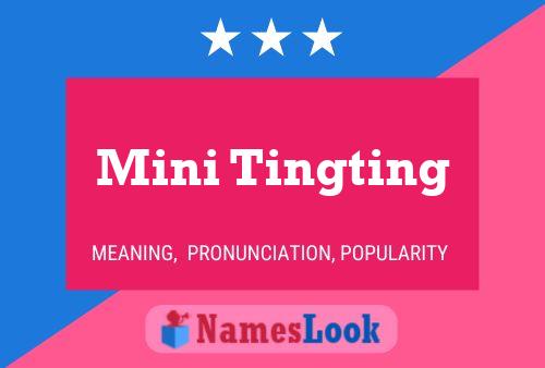 Mini Tingting 名字海报