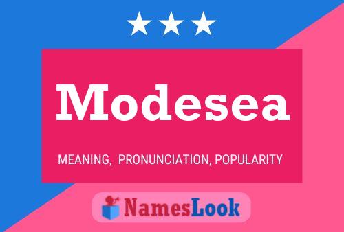 Modesea 名字海报