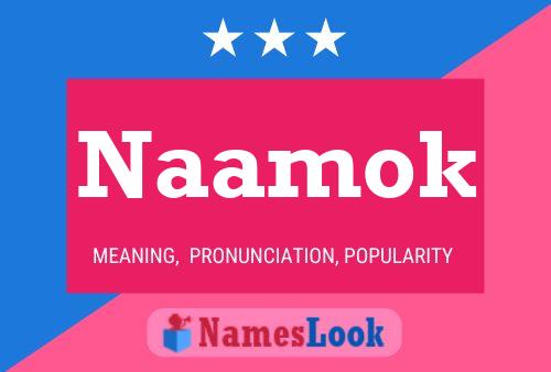 Naamok 名字海报