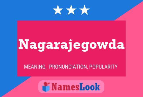 Nagarajegowda 名字海报