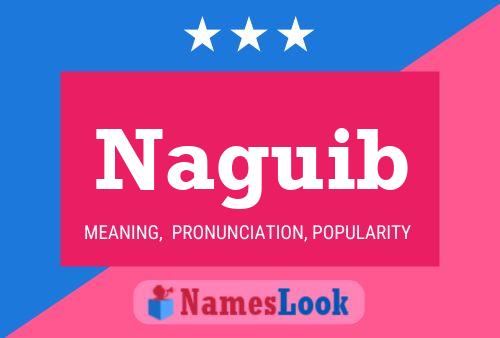 Naguib 名字海报