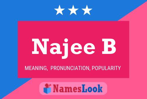 Najee B 名字海报