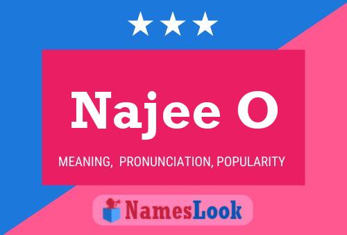 Najee O 名字海报