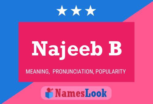 Najeeb B 名字海报