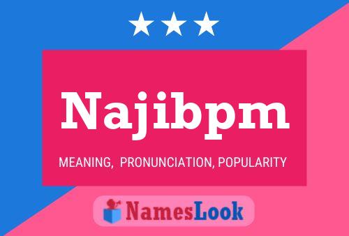 Najibpm 名字海报