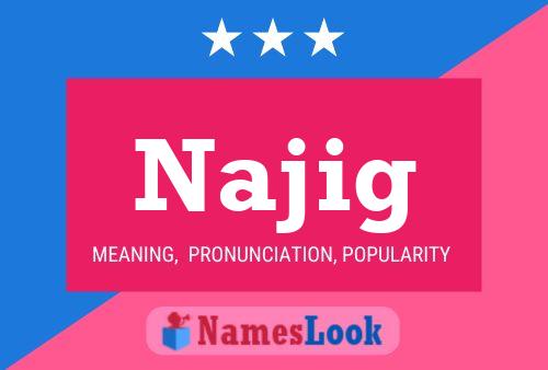 Najig 名字海报