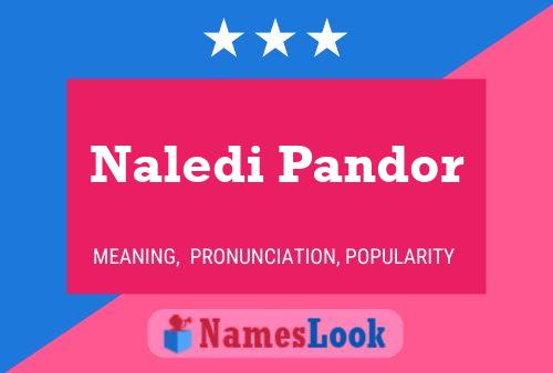 Naledi Pandor 名字海报