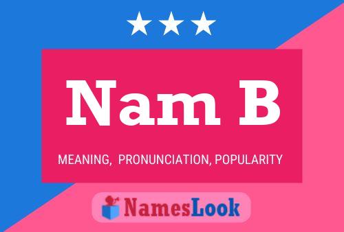 Nam B 名字海报