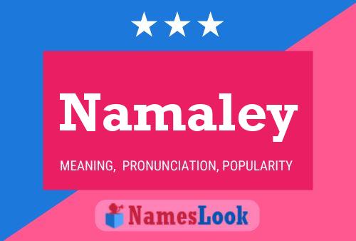 Namaley 名字海报