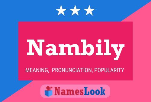 Nambily 名字海报