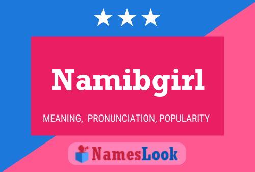 Namibgirl 名字海报