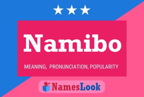 Namibo 名字海报