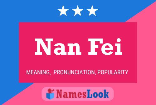 Nan Fei 名字海报